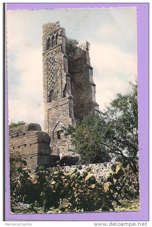 ALGERIE - TELCEM - la Tour de Mansourah - Vieilles Ruines - photo véritable