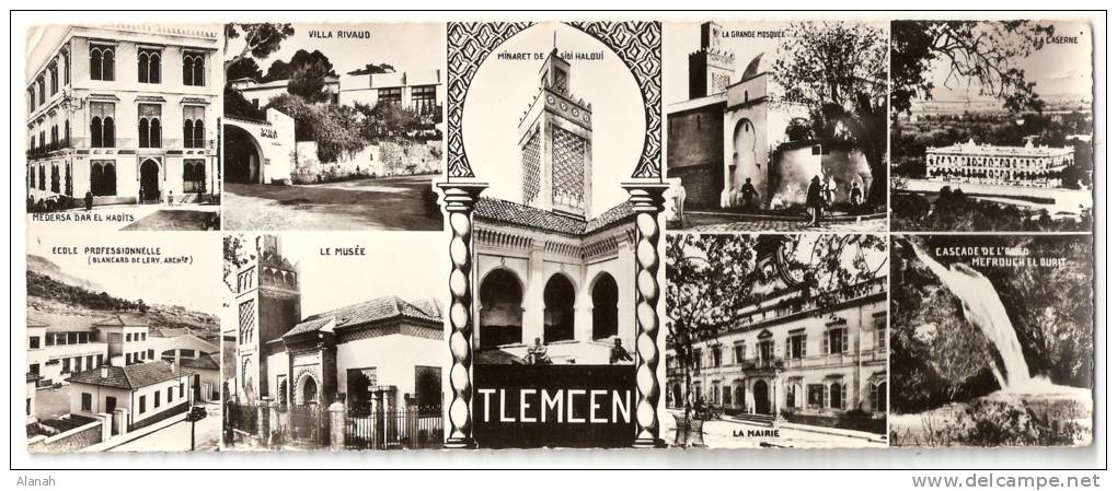 TLEMCEN CP Double 9 vues (Réal-Photo N° 797) Algérie Afrique
