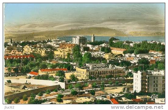 CP.   TLEMCEN.  VUE  GENERALE