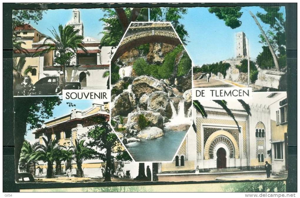 souvenir de Tlemcen      ui38
