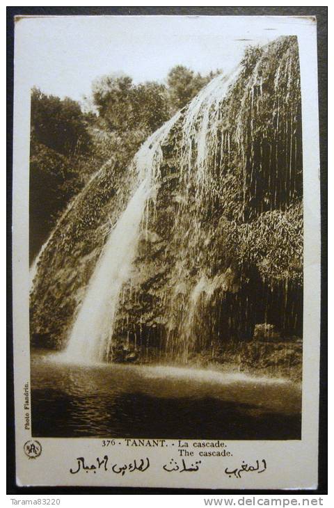 CPA - ALGERIE TLEMCEN - LA CASCADE DE NEGRIER