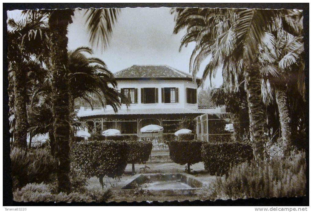 CPA - CPSM ALGERIE ORAN TLEMCEN HOTEL TRANSATLANTIQUE - FACADE SUR LES JARDINS VERS 1960