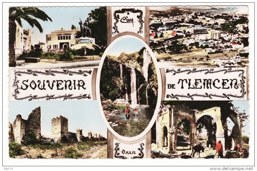 300 SOUVENIR DE TLEMCEN - CPSM COULEURS VOIR SCANS
