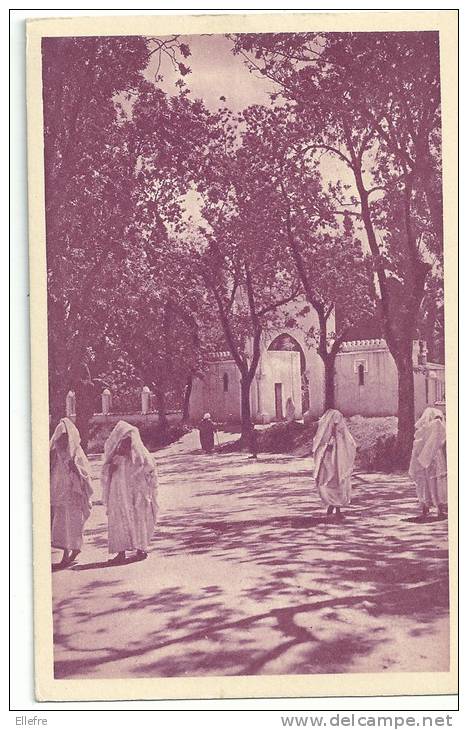 Carte du centenaire de 1930 TLEMCEN Sur la route du cimetière indigène FORMAT CPA