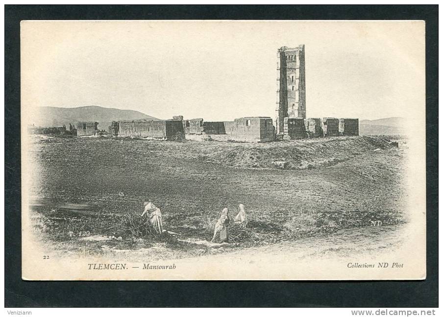 TLEMCEN - Mansourab, animé  (dos non divisé)