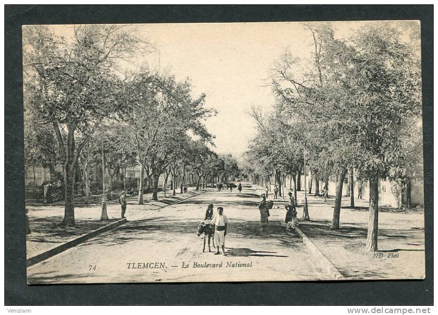 TLEMCEN - Le Boulevard National, animé