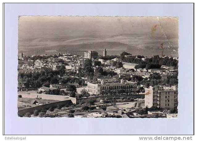 (j)* Tlemcen   Vue générale *