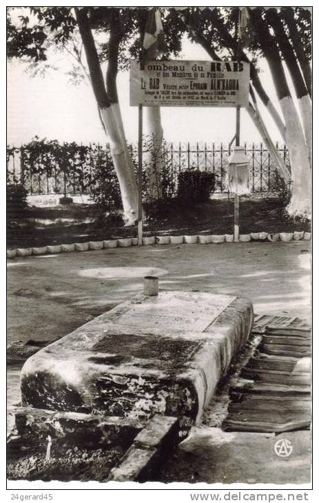 CPSM TLEMCEM (Algérie) - Le Tombeau du Rab