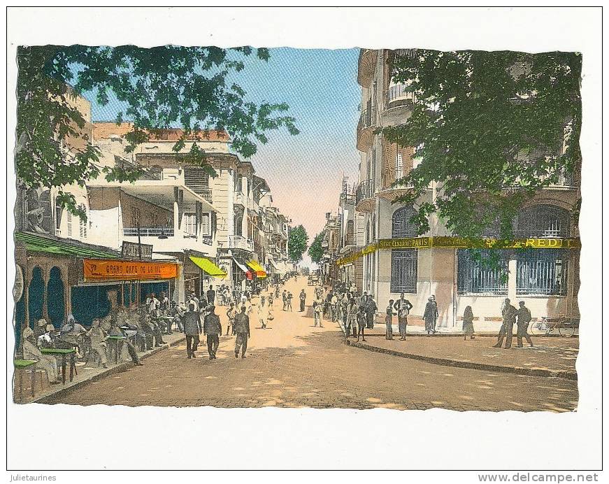TLEMCEN ALGERIE RUE DE FRANCE CPSM BON ETAT