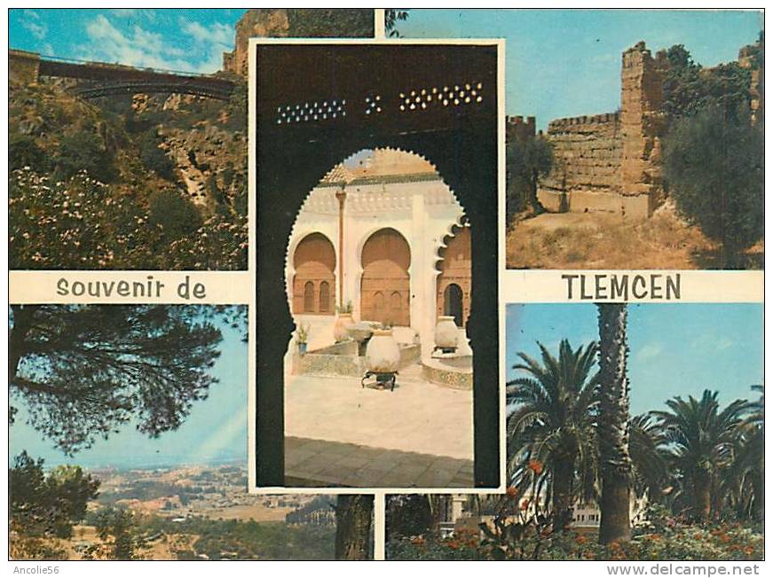 SOUVENIR DE TLEMCEN