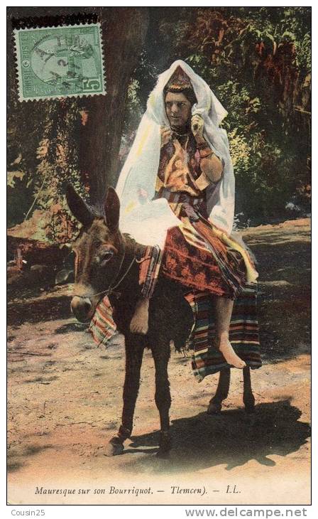 ALGERIE - TLEMCEN - Mauresque sur un Bourriquet