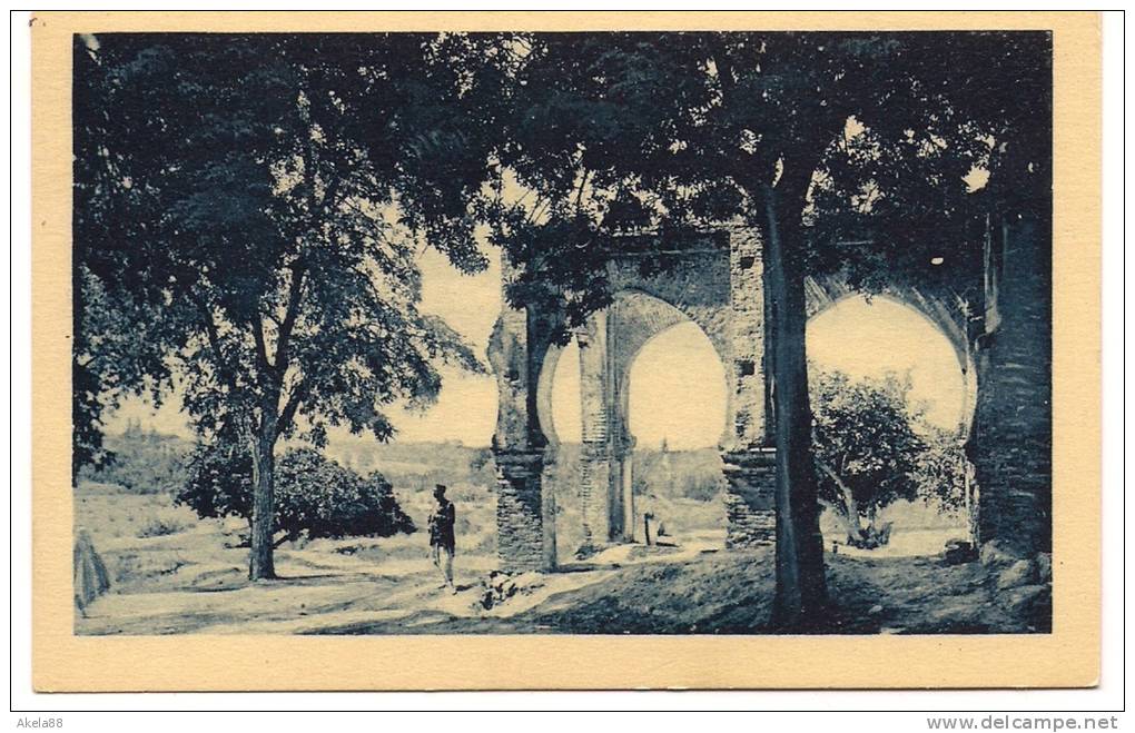 ALGERIA - TLEMCEN - TOMBA SULLA STRADA - TOMBEAU SUR LA ROUTE DE BOU-MEDINE - CENTENARIO 1930