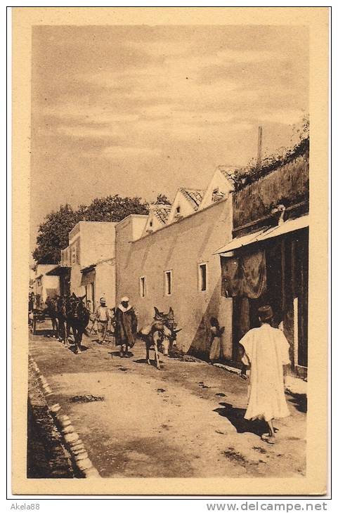 ALGERIA - TLEMCEN - UNE RUE - ANTICA VIA - ASINI - COSTUMI - CENTENARIO 1930