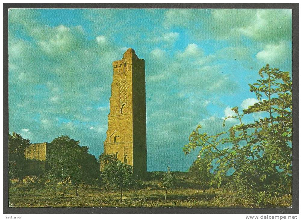 ALGERIE - ALGERIA  -  TLEMCEN  -  LE MINARET DE MANSOURAH  -
