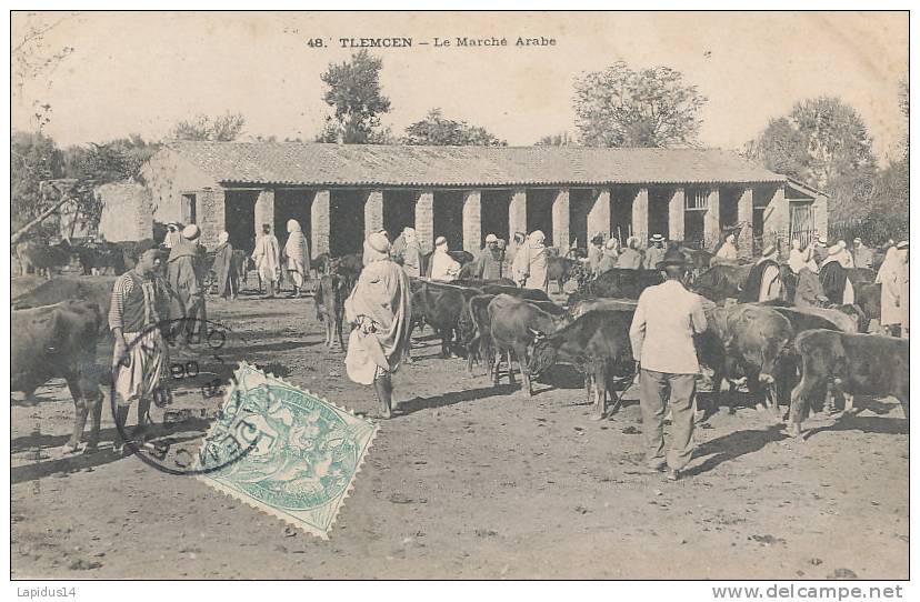 H H 690/ C P A  -ALGERIE -  TLEMCEN - LE MARCHE ARABE
