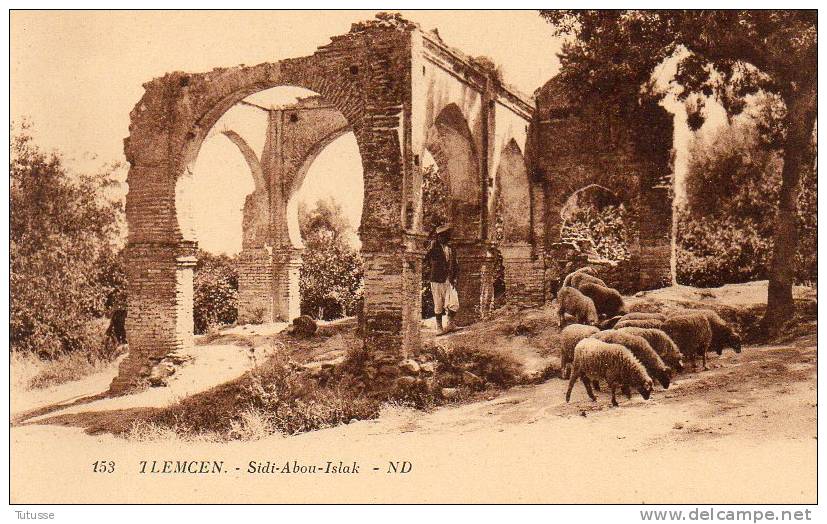 ALGERIE - TLEMCEN - Sidi Abou Islak