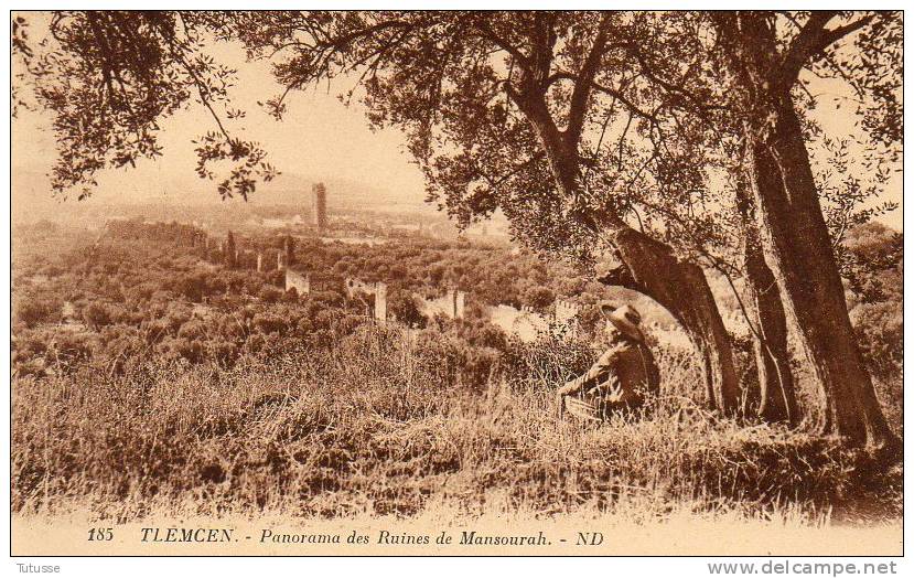 ALGERIE - TLEMCEN - Panorama des Ruines de Mansourah