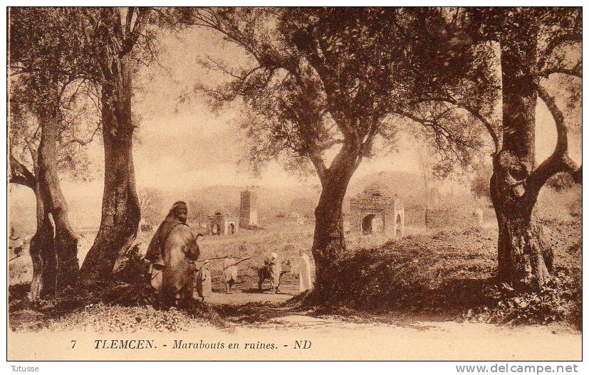 ALGERIE - TLEMCEN - Marabouts en ruines