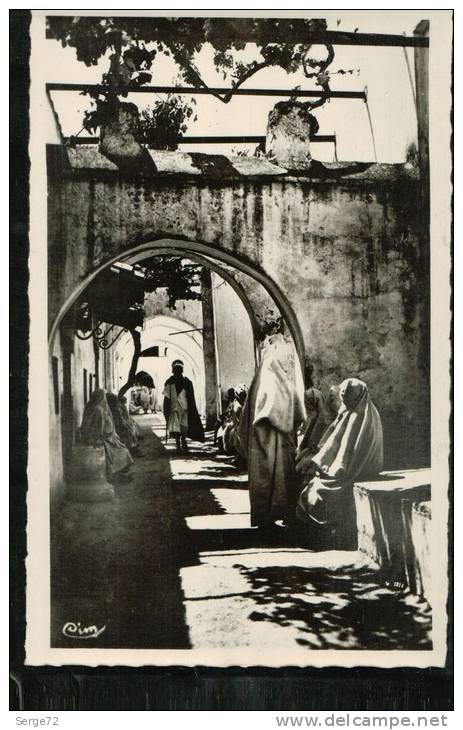 cpsm  TLEMCEN  (Oran) .La ruelle de la Mosquée