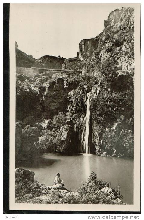 cpsm 203   TLEMCEN   Cascade de l'Oued Mefrouch el Ourit Le Bassin supérieur