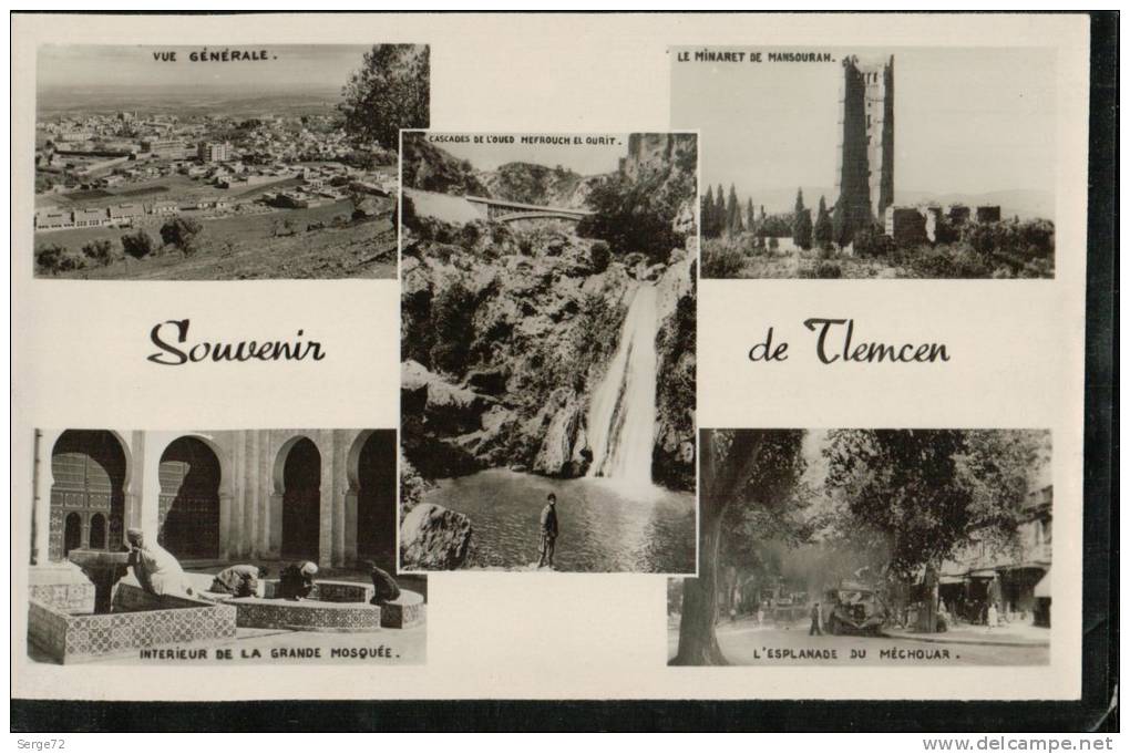 cpsm 168.   TLEMCEN   ,multivues