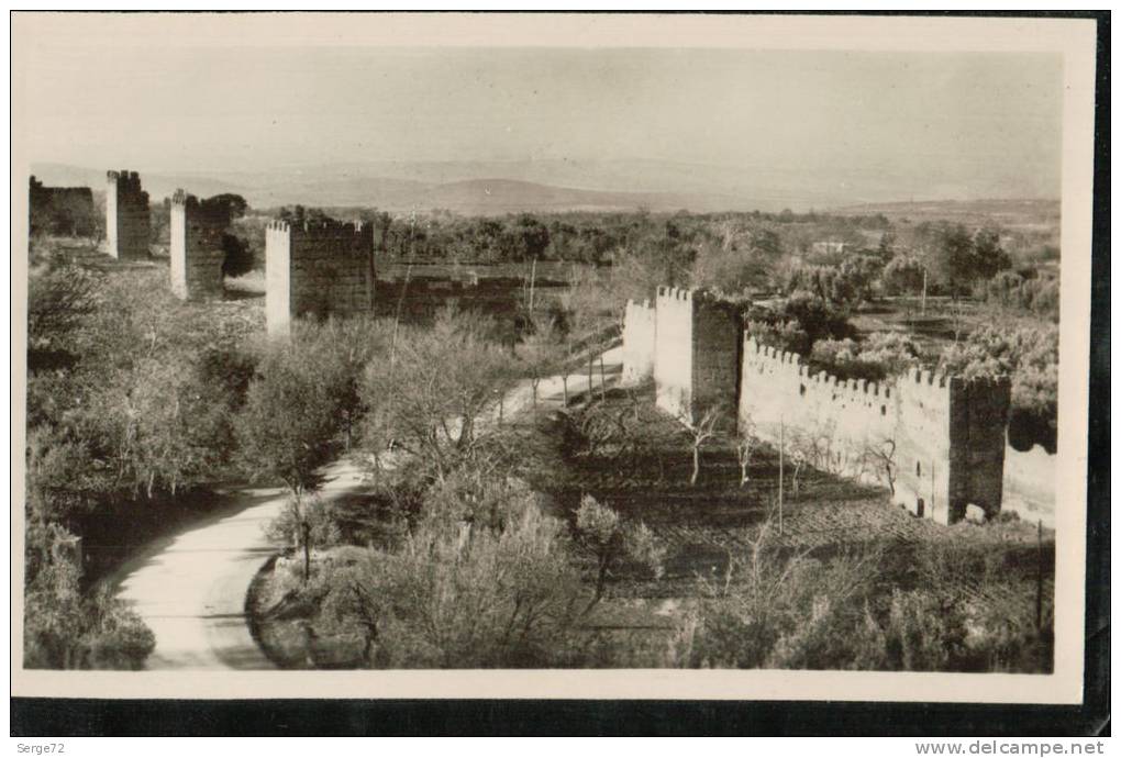 cpsm 30  TLEMCEN   Anciens Remparts de Mansourah