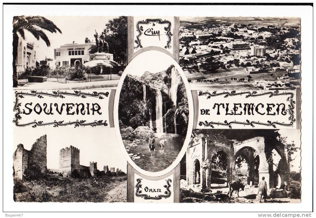 SOUVENIR DE TLEMCEN MULTIVUES CAISSE D EPARGNE CACHET A.F.N 1964