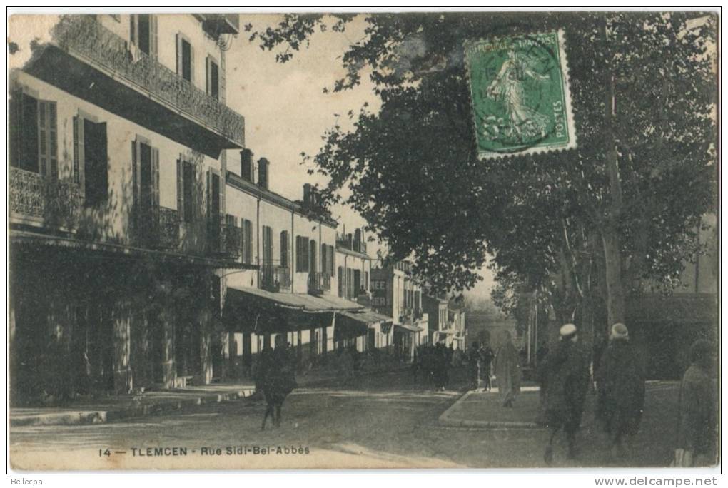 AFRIQUE ALGERIE Tlemcen Rue Sidi Bel Abbes