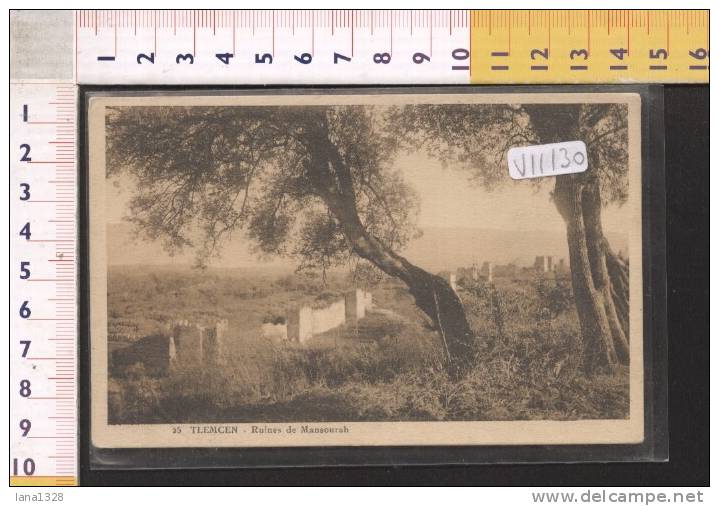 V11130 TLEMCEN RUINES DE MONSOURAH