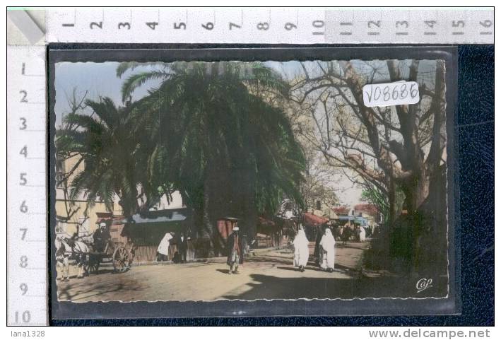 V08686 TLEMCEN ENTREE DE LA SIKAK CARRI COSTUMI FOLKLORISTICI FOLCLORISTICI