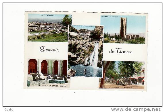 Algérie - Souvenir de Tlemcen