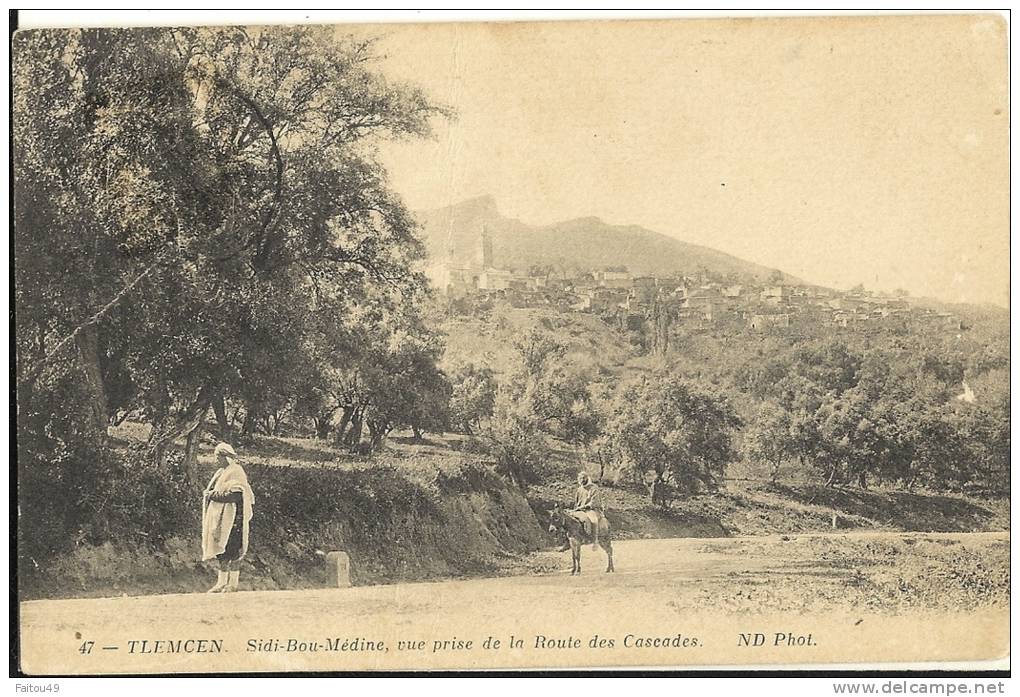 TLEMCEN - Sidi Bou Médine, vue prise de la Route des cascades   103
