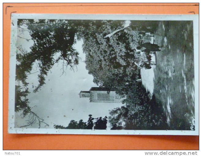 E1-Agerie-tlemcen-minaret dans la verdure-1947