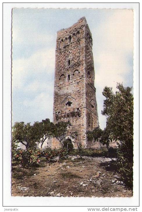 TLEMCEN - La tour de Mansouran.