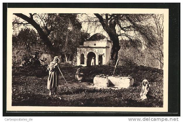 CPA Tlemcen, Noubba de Sidi Yacoub