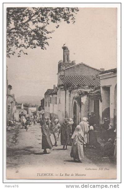 ALGERIE - TLEMCEN - la rue de Mascara