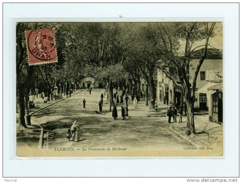 tlemcen  la promenade du medouar