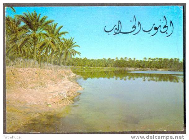 ALGERIA TLEMCEN ETENDUE CONFINS DESERT COCONUT TREE REFLECTION SHADOW SEA SKY