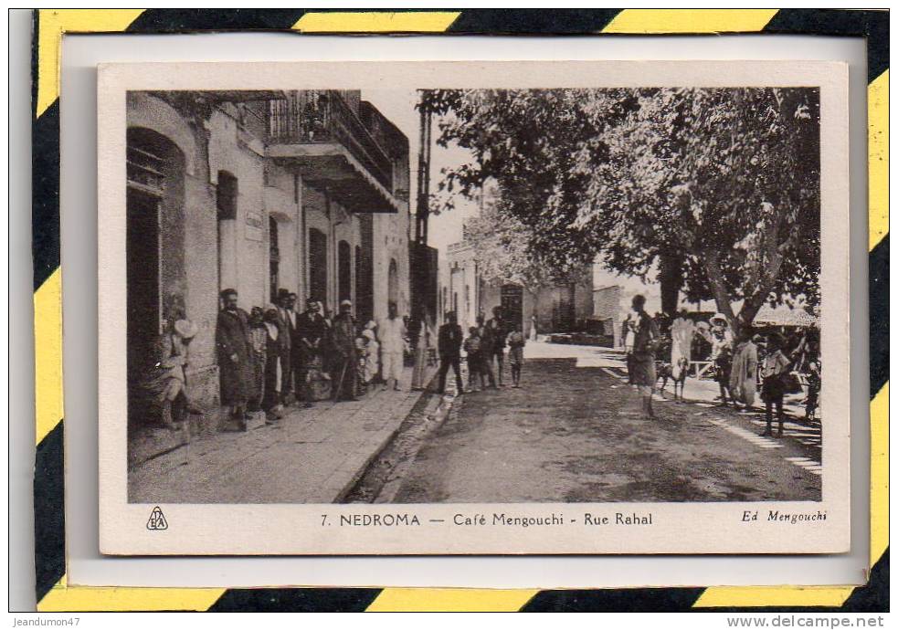 NEDROMA. - . CAFE MENGOUCHI - RUE RAHAL. ED. MENGOUCHI. CARTE ANIMEE