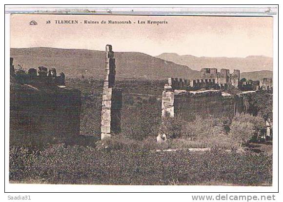 TLEMCEN  RUINES  DE  MANSOURAH   LES  REMPARTS        TBE  1X623