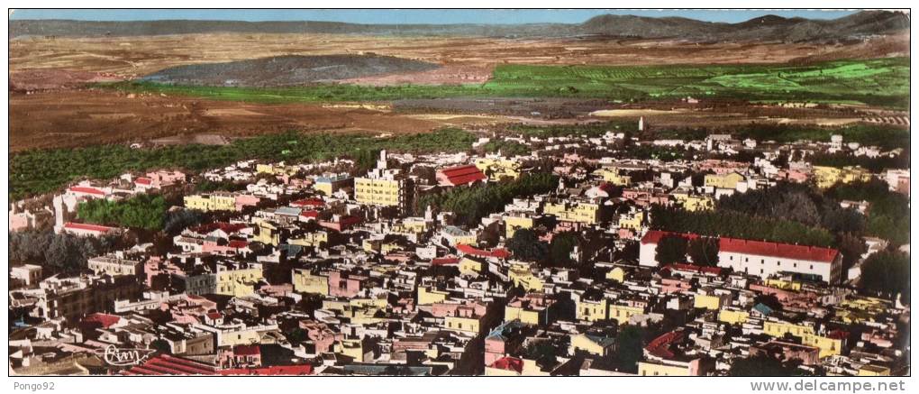 cpsm de format panoramique TLEMCEN, vue aérienne, les vergers et les vignes au loin  (p11)