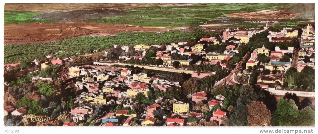 cpsm de format panoramique TLEMCEN, vue aérienne, les vergers et les vignes au loin  (p10)