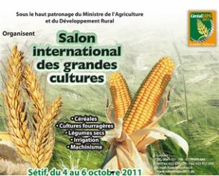 Constantine - 1.500 ha mobilisés pour la production de semences