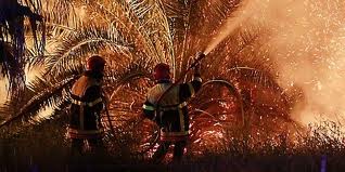 Biskra -  La Protection civile s’implique dans la prévention 