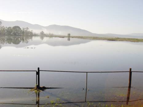 Journée mondiale de la biodiversité au lac Tonga à El Tarf:  Une célébration… et puis s’en vont!