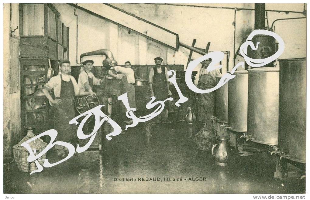 Algérie - Alger - Distillerie REBAUD, fils ainé (intérieur)