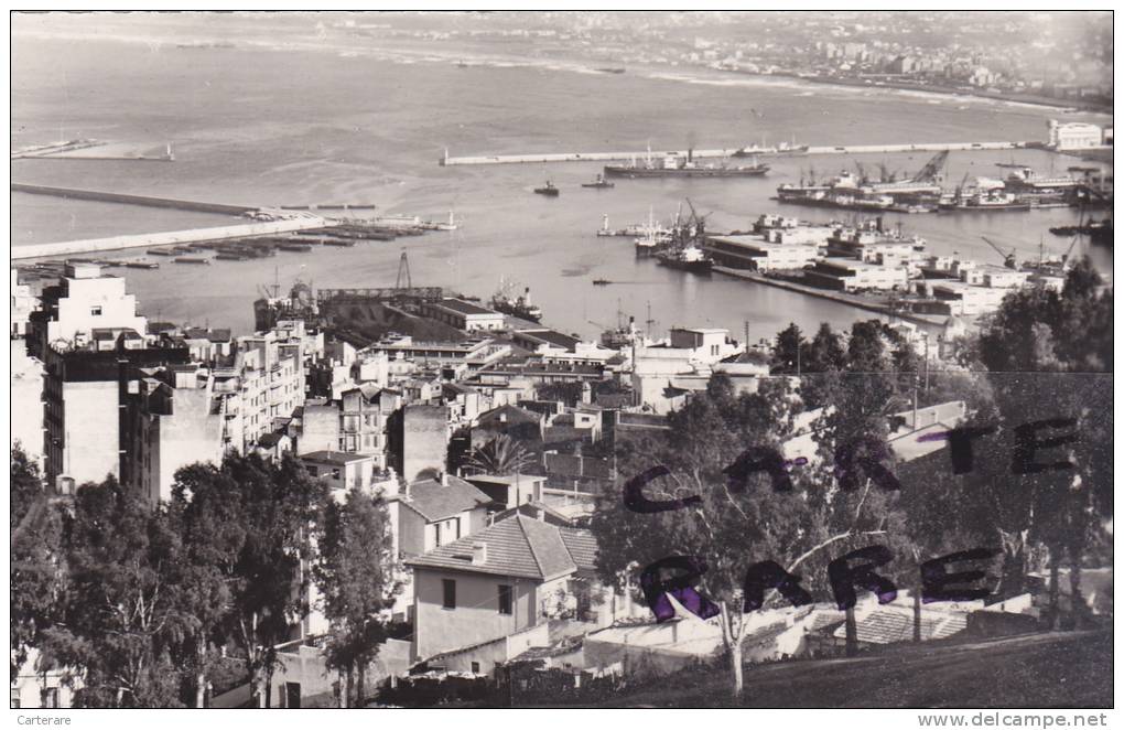 ALGERIE,ALGERIA,AFRIQUE FRANCAISE,COLONIE,MAGHREB ,ALGER EN 1950,alger la blanche,PORT DE L'AGHA,PORT DE COMMERCE