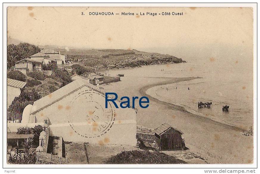 Rare cpa Algerie Douaouda Marine La Plage Coté Ouest animée