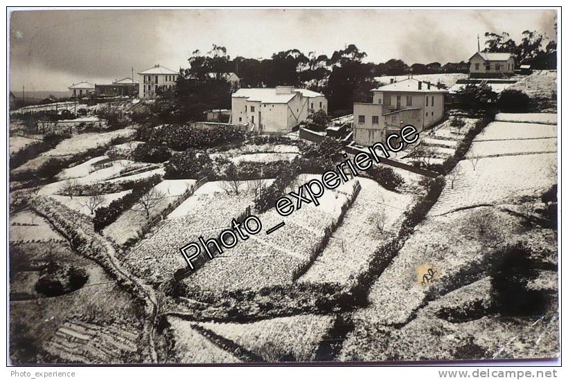 CPA Carte Photo Neige Hiver 1933 EL-BIAR Alger Algérie Afrique Algeria Africa