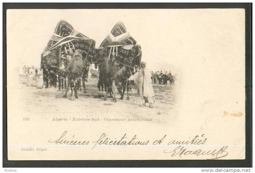 1903 ALGERIA ALGER ALGIERS, EXTREME SUD- CHAMEAUX PALANQUINS, CAMEL, VINTAGE POSTCARD